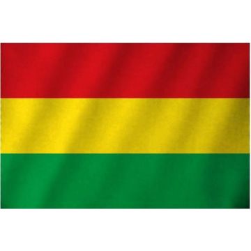 Vlag Limburg Carnaval - Rood/Geel/Groen - 90 x 150 cm