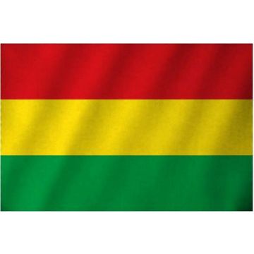 Vlag Limburg Carnaval - Rood/Geel/Groen - 90 x 150 cm - 3 Pack