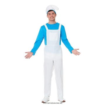 Mr Blue Gnome