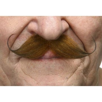 Mustache Ginger - 6 Pack