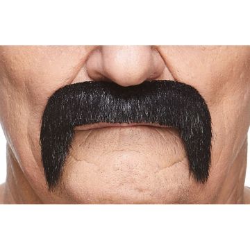 Mustache Black Lustrous - 6 Pack