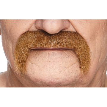 Mustache Chestnut - 6 Pack