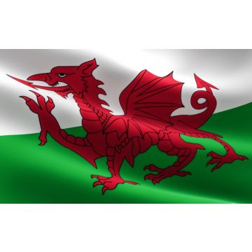 Country Flag Wales 90 x 150 cm - 100% polyester