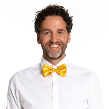 Bow Tie Gold - 6 Pack