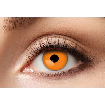 Halloween Orange Lenses - 3 Months