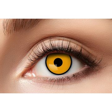 Crow Lenses - 3 Months