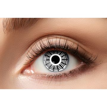 Spider Lenses - 3 Months