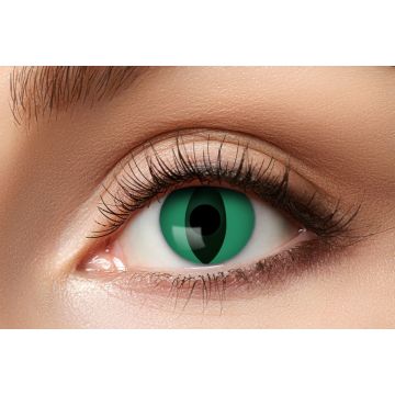 Anaconda Lenses - 3 Months