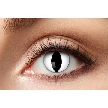 Black Cat Lenses - 3 Months