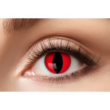 Red Cat Lenses - 3 Months