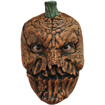Face Mask - Pumpkin 6