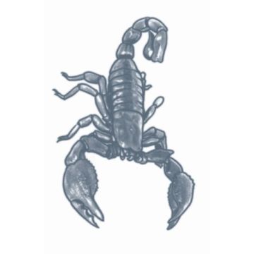 Prison Tattoos - Scorpion
