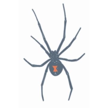 Prison Tattoos - Black Widow