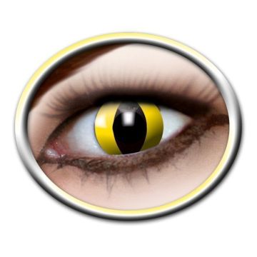 Yellow Cat Lenses - 3 Months