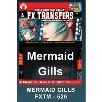 Large FX Transfers - Gills