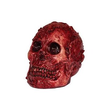 Fleshy Skull