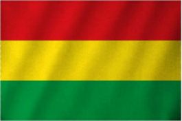 Flag Limburg Carnaval - Red/Yellow/Green - 90 x 150 cm - 3 Pack