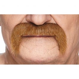 Mustache Chestnut - 6 Pack