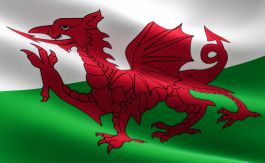 Country Flag Wales 90 x 150 cm - 100% polyester