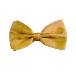 Bow Tie Gold - 6 Pack