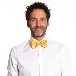 Bow Tie Yellow