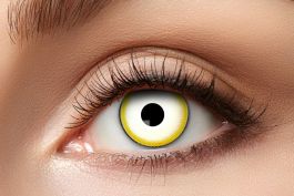 Avat Lenses - 3 Months