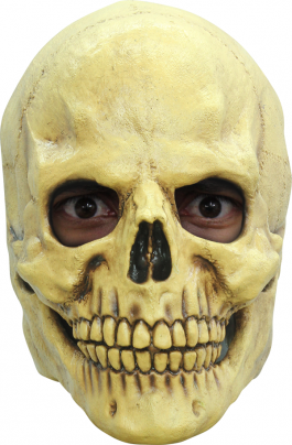 Headmask - Skull 2