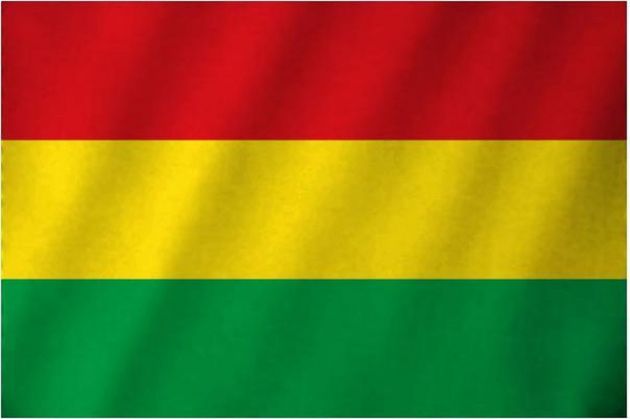 Flag Limburg Carnaval - Red/Yellow/Green - 90 x 150cm