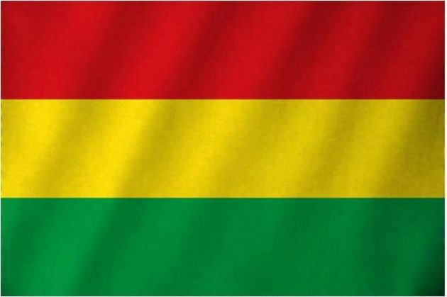 Flag Limburg Carnaval - Red/Yellow/Green - 90 x 150 cm - 3 Pack