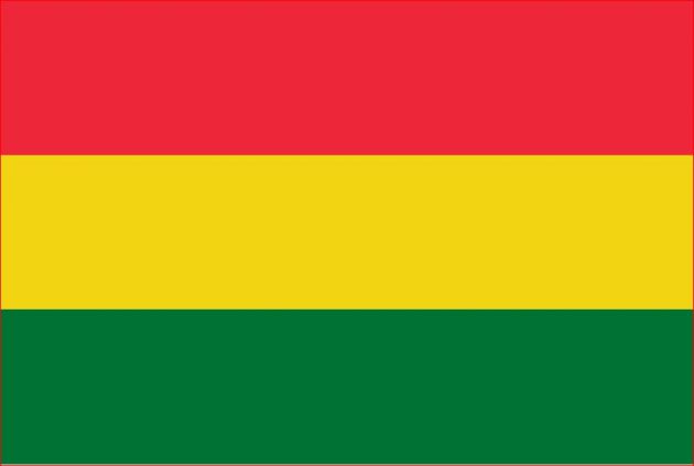 Flag Limburg Carnaval - Red/Yellow/Green - 90 x 150 cm - 3 Pack