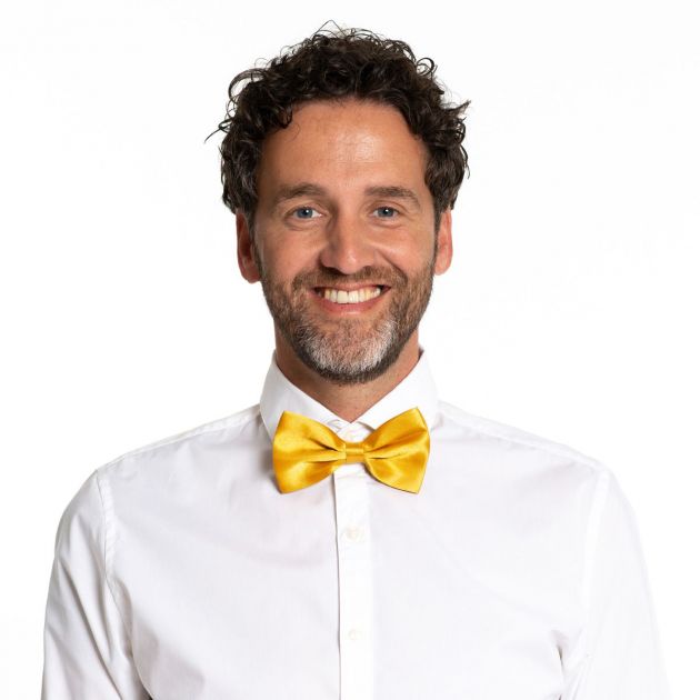 Bow Tie Gold - 6 Pack