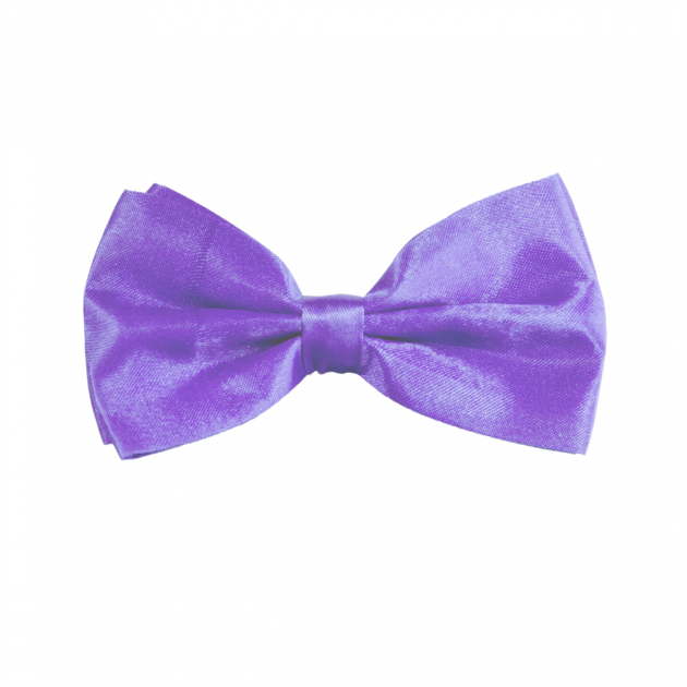 Bow Tie Purple