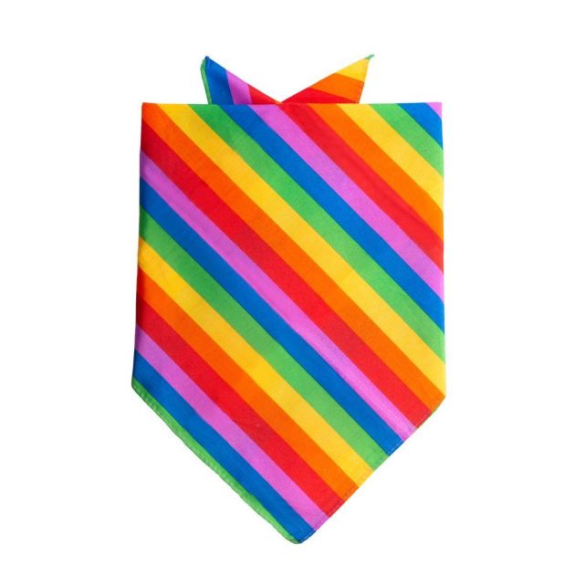 Bandana Rainbow- 52 x 55 cm