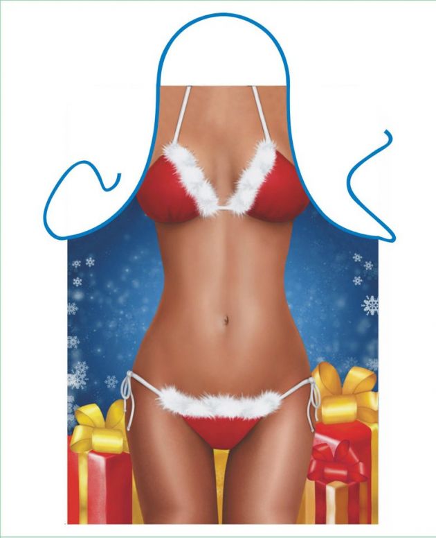 Apron - Santa Bikini