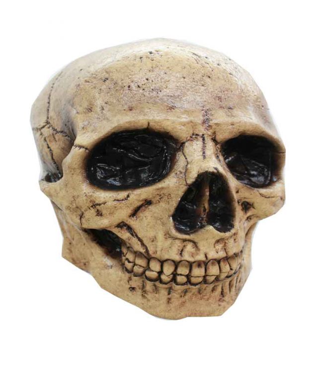 Volledig Hoofdmasker - Skull Tan 3