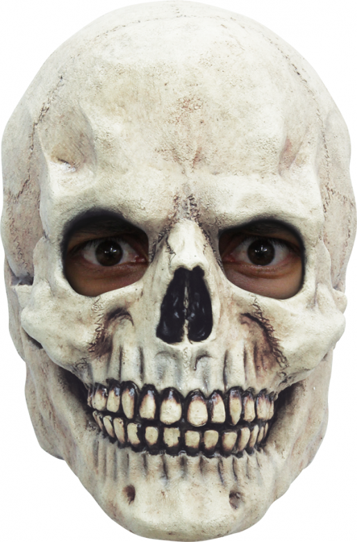 Headmask - Skull White 2