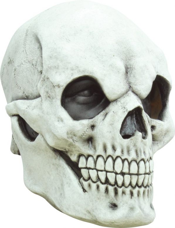 Headmask - Skull White 1