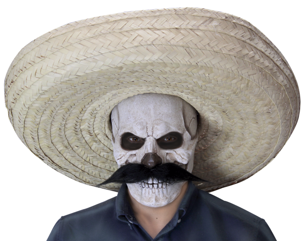 Volledig Hoofdmasker - Catrin Skull
