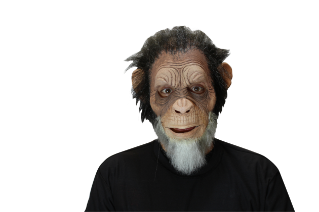 Volledig Hoofdmasker met Haar - Old Julius Ape