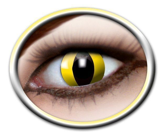 Yellow Cat Lenses - 3 Months