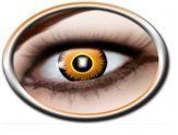 Lion Lenses - 3 Months
